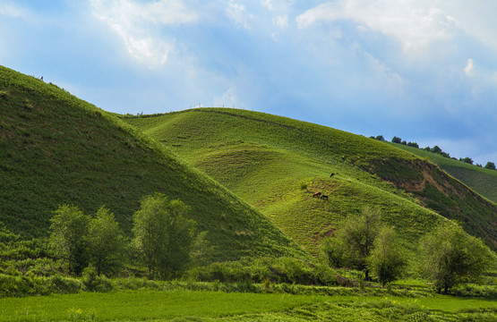 中华福寿山