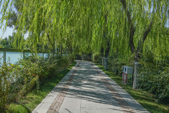 天津南翠屏公园步道