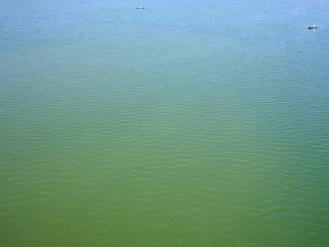 河水水面