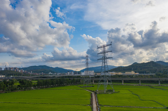 田野上的电力塔