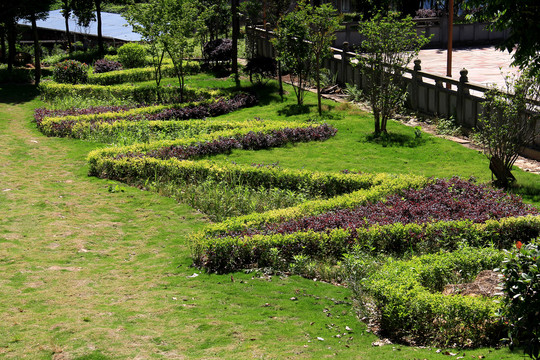 公园草地造型绿化