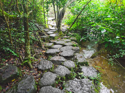 溪边石板路