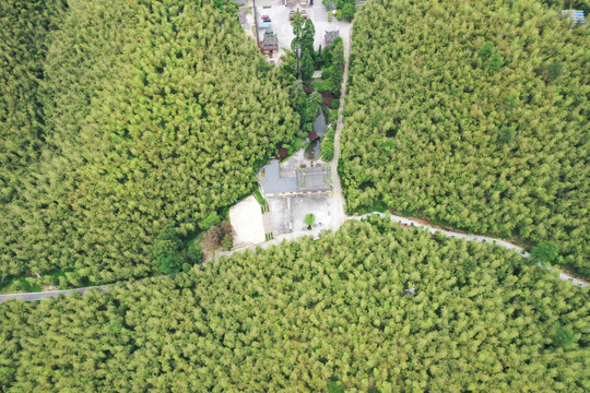 航拍竹海古寺杭州釜托寺