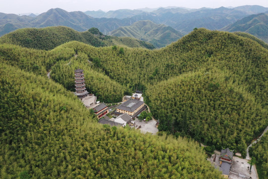 航拍竹海古寺杭州釜托寺