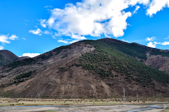 风景背景