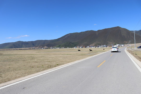 香格里拉帕纳海景区依拉草原