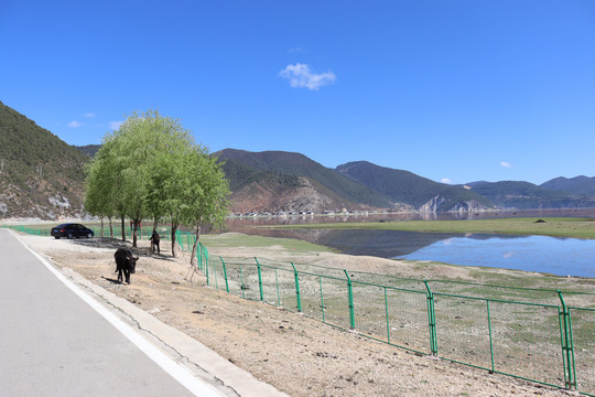 香格里拉帕纳海