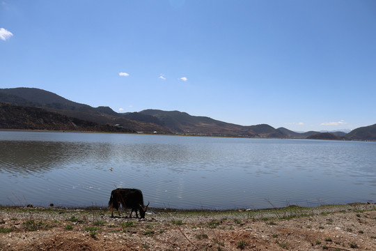 香格里拉帕纳海