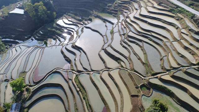 元阳梯田