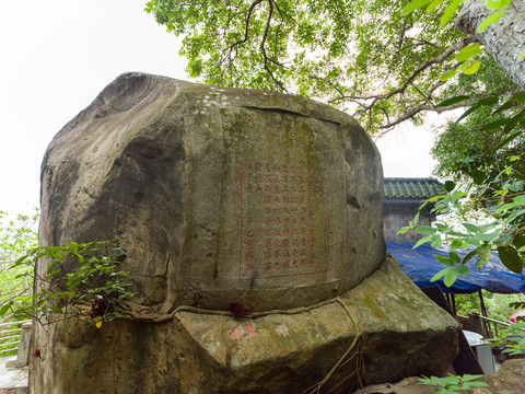 广东阳江北山公园瑞禾石