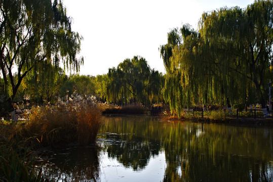 朝阳区东风公园