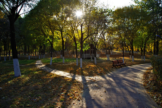 朝阳区东风公园