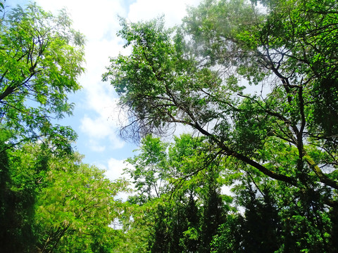 仰望天空