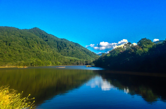 湖北神农架大九湖