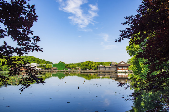 杭州西湖曲院风荷