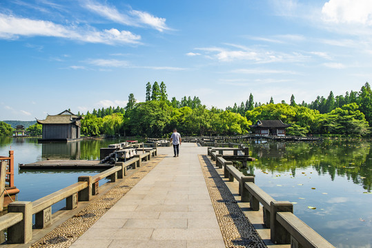 西湖曲院风荷高清图