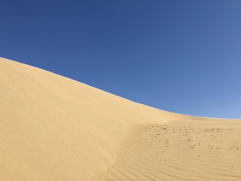 沙丘蓝天