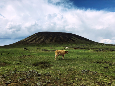 乌兰哈达火山