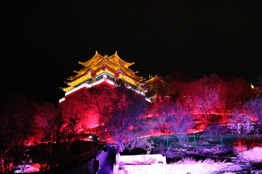 香格里拉龟山公园夜景