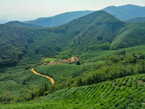 信阳茶山