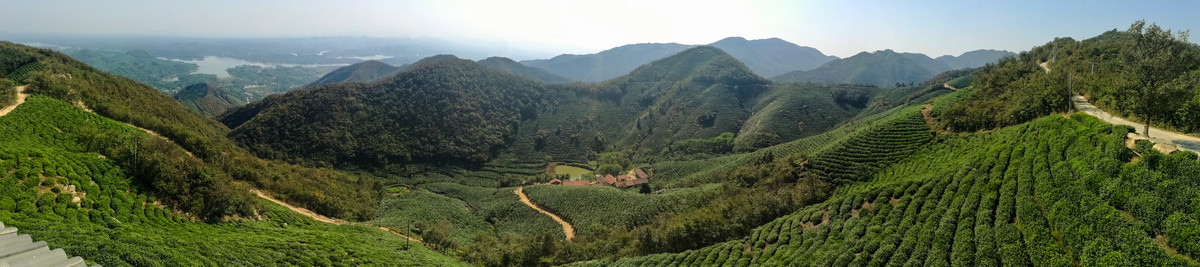 信阳茶山