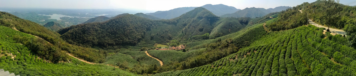 信阳茶山