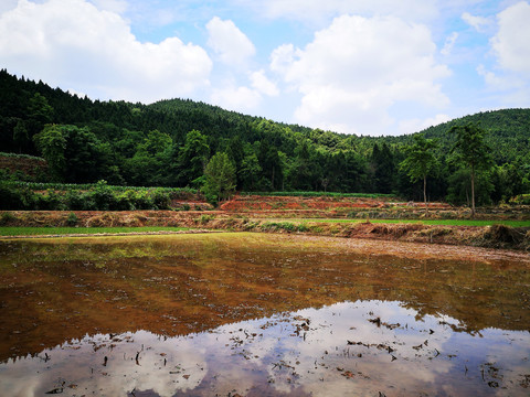 田园