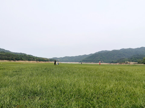 黄山洞水库草原