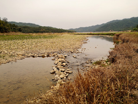 水库湿地景观