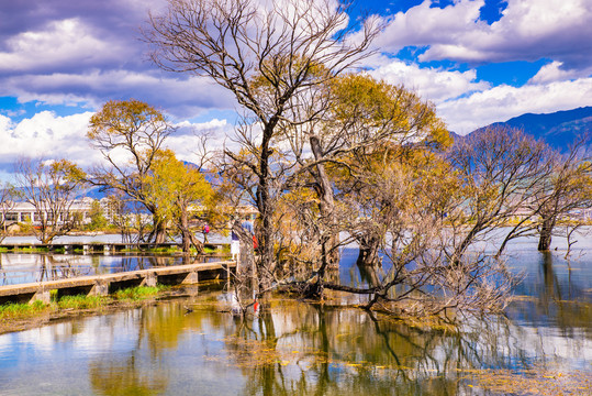 高原湿地