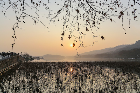 杭州西湖秋色