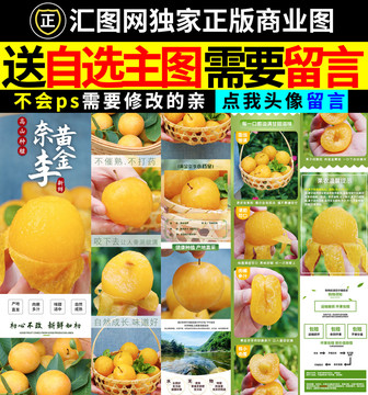 黃金奈李詳情頁