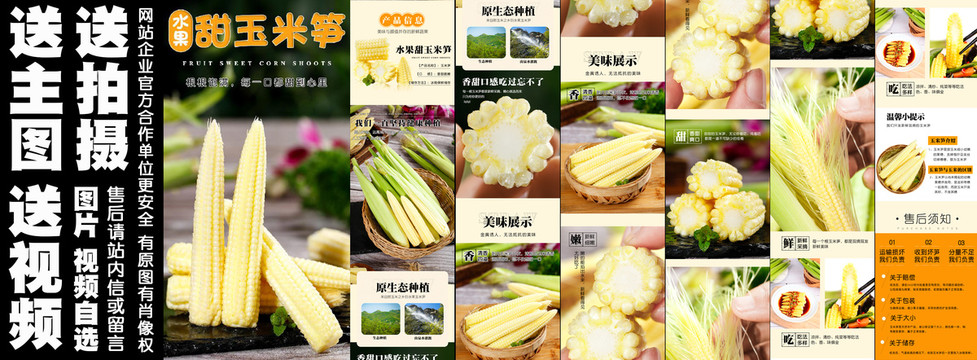 水果甜玉米筍詳情