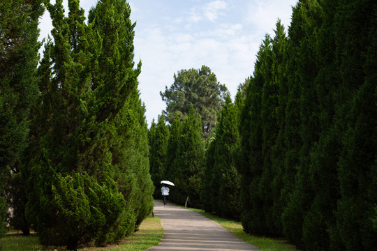 红安县红色教育基地