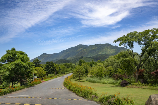 山野