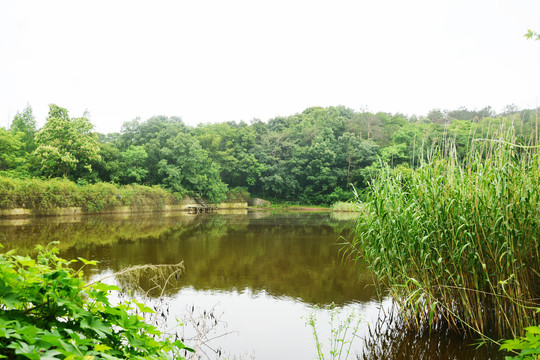 湖泊美景