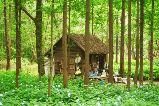 林中木屋