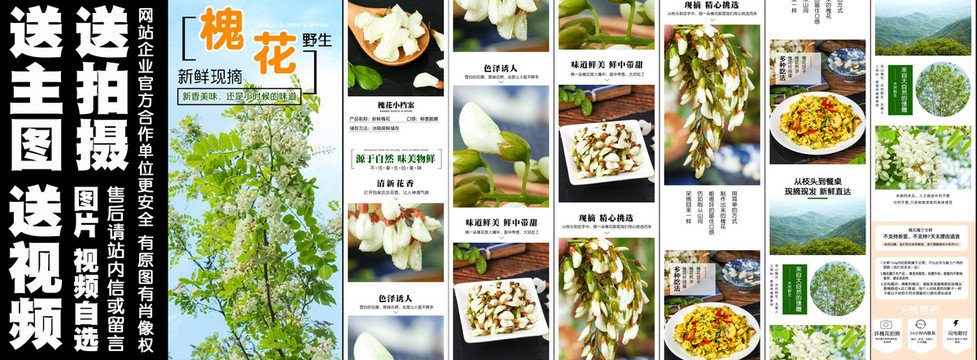 槐花詳情頁