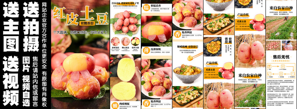 紅皮土豆詳情頁