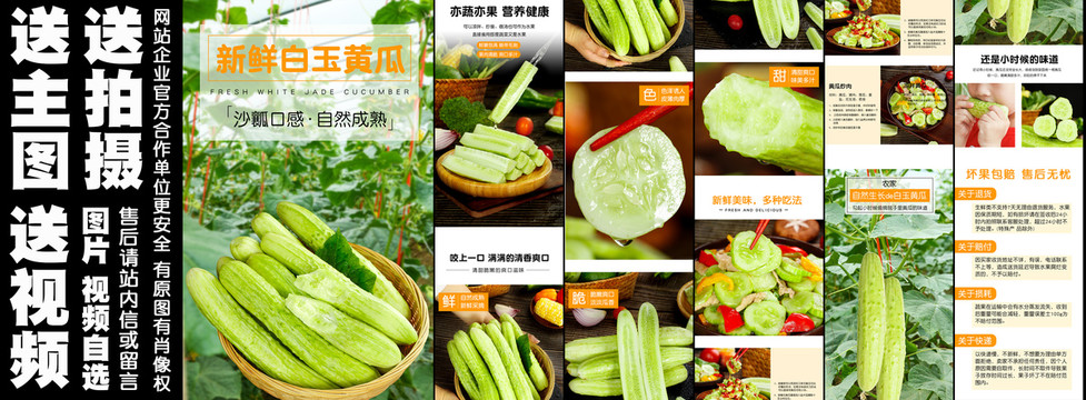 新鮮白玉黃瓜