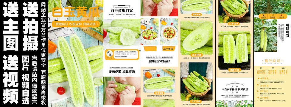 白玉黃瓜詳情