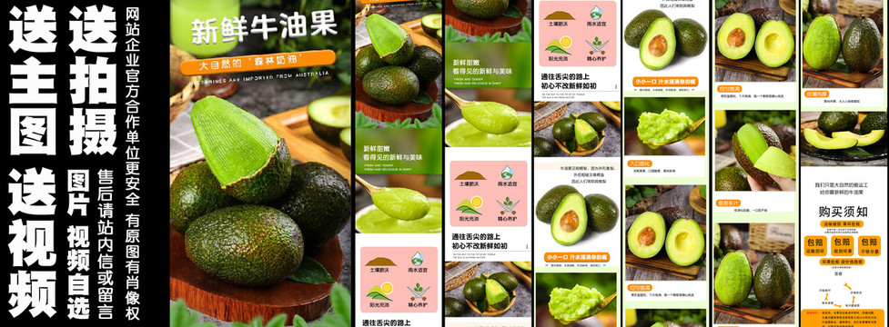 新鮮牛油果詳情
