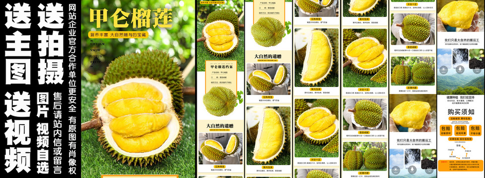 甲侖榴蓮詳情頁(yè)