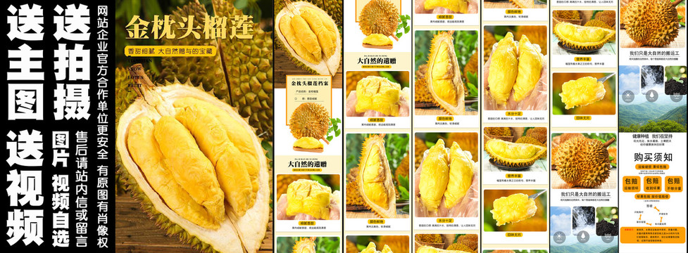 金枕頭榴蓮詳情