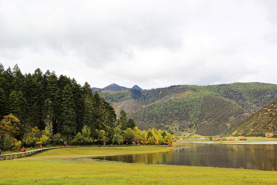 风景