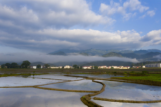 羊獅慕泰山鄉