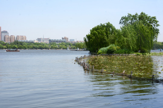 大明湖风光