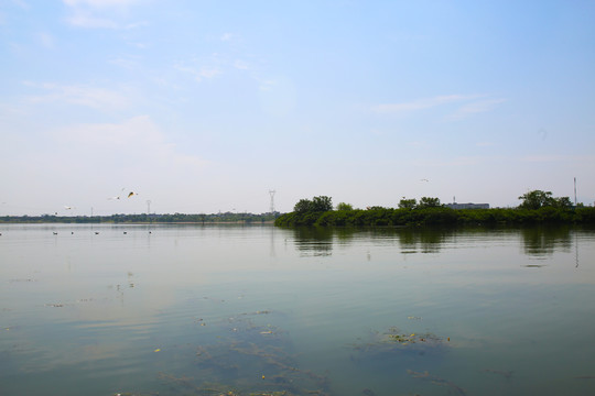 河岸园林景观