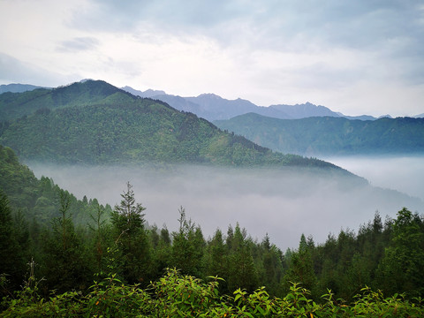 山中的清晨