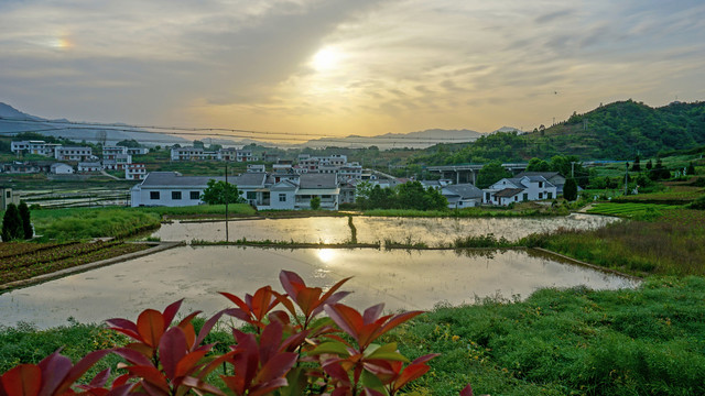 中峰梯田田